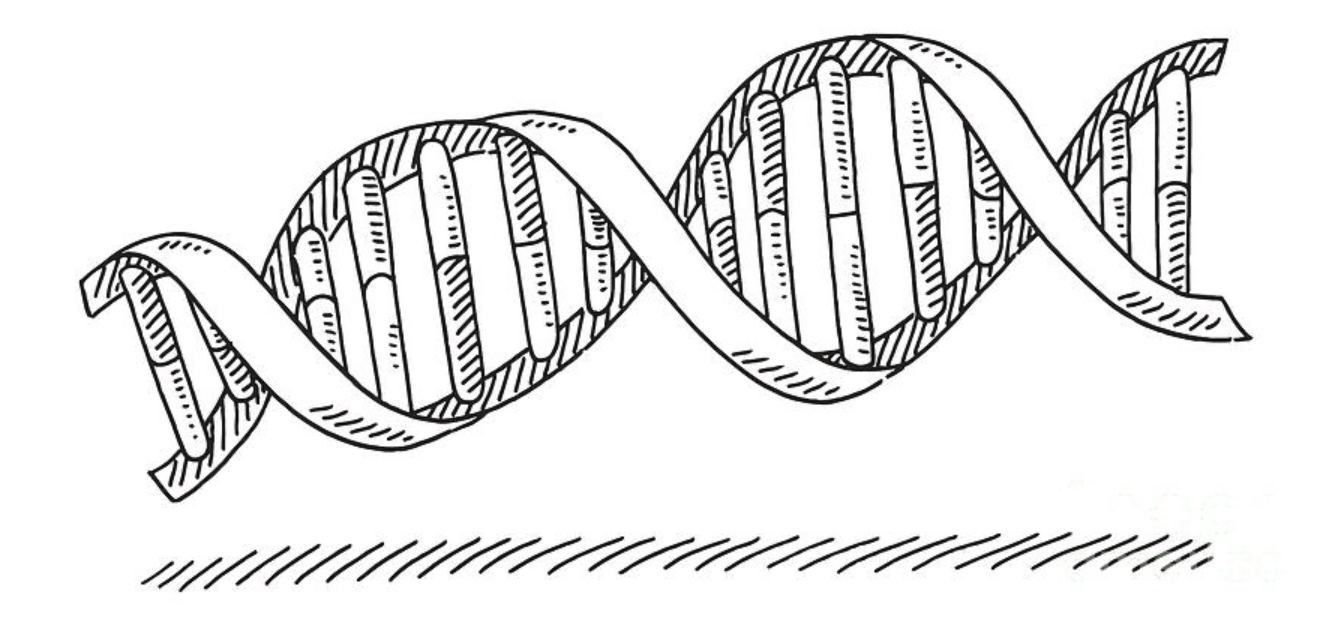 early drawing of DNA